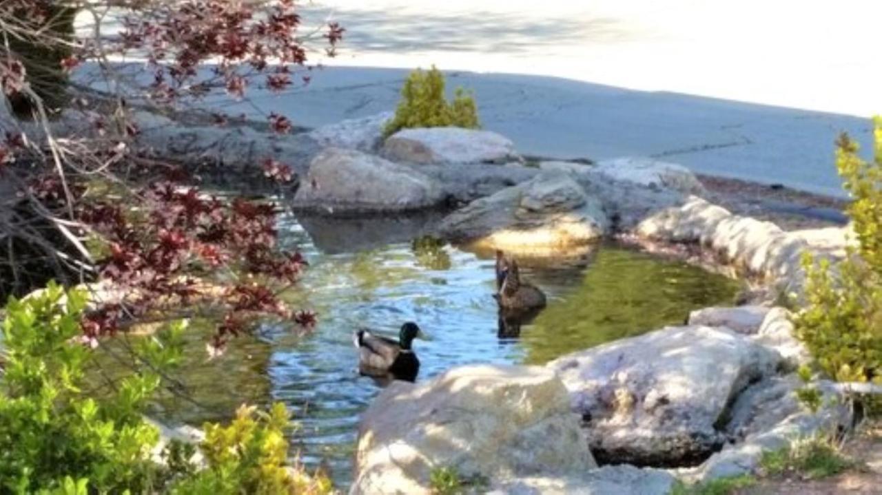 North Bay At Lake Arrowhead Blue Jay Exterior foto
